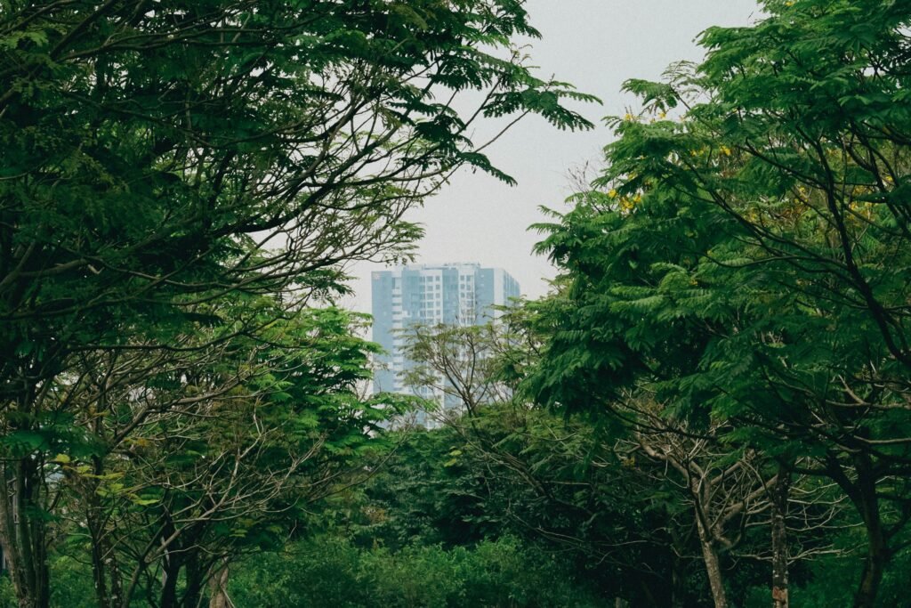 Urban Forest & Plantation