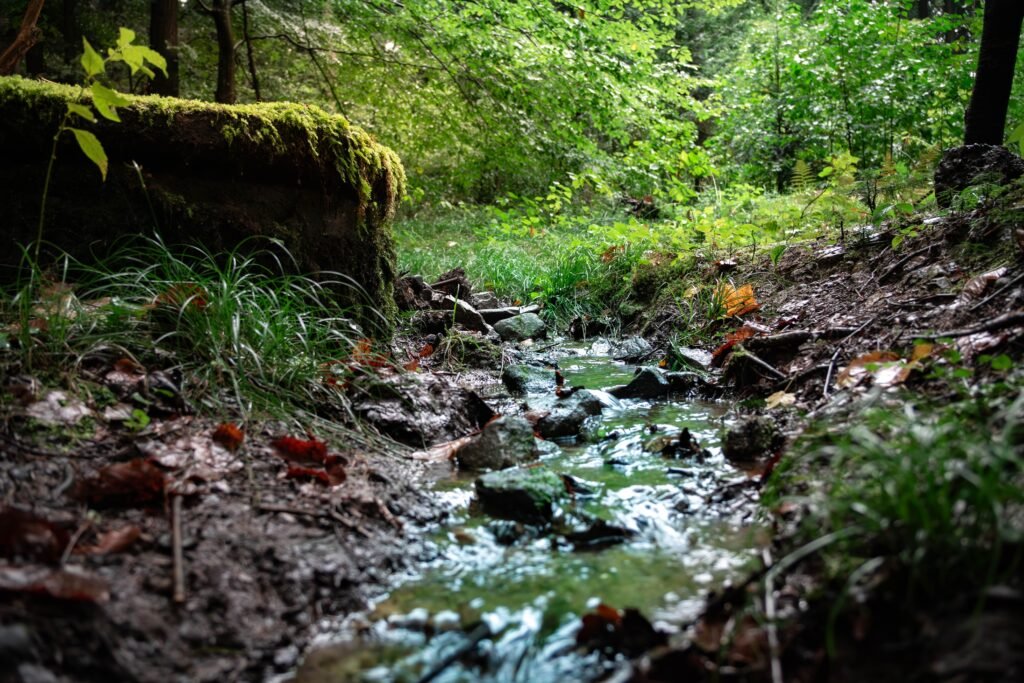 Groundwater Recharge