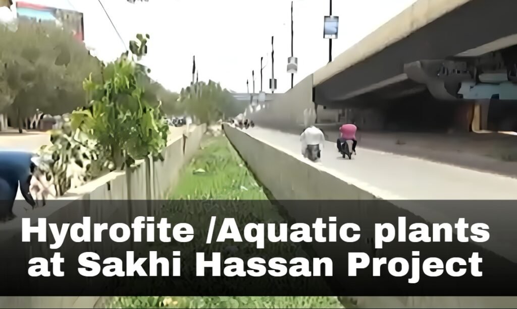 sakhi hassan project